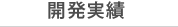 開発実績